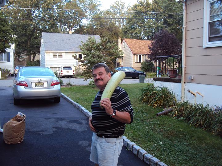 sqv 001.JPG